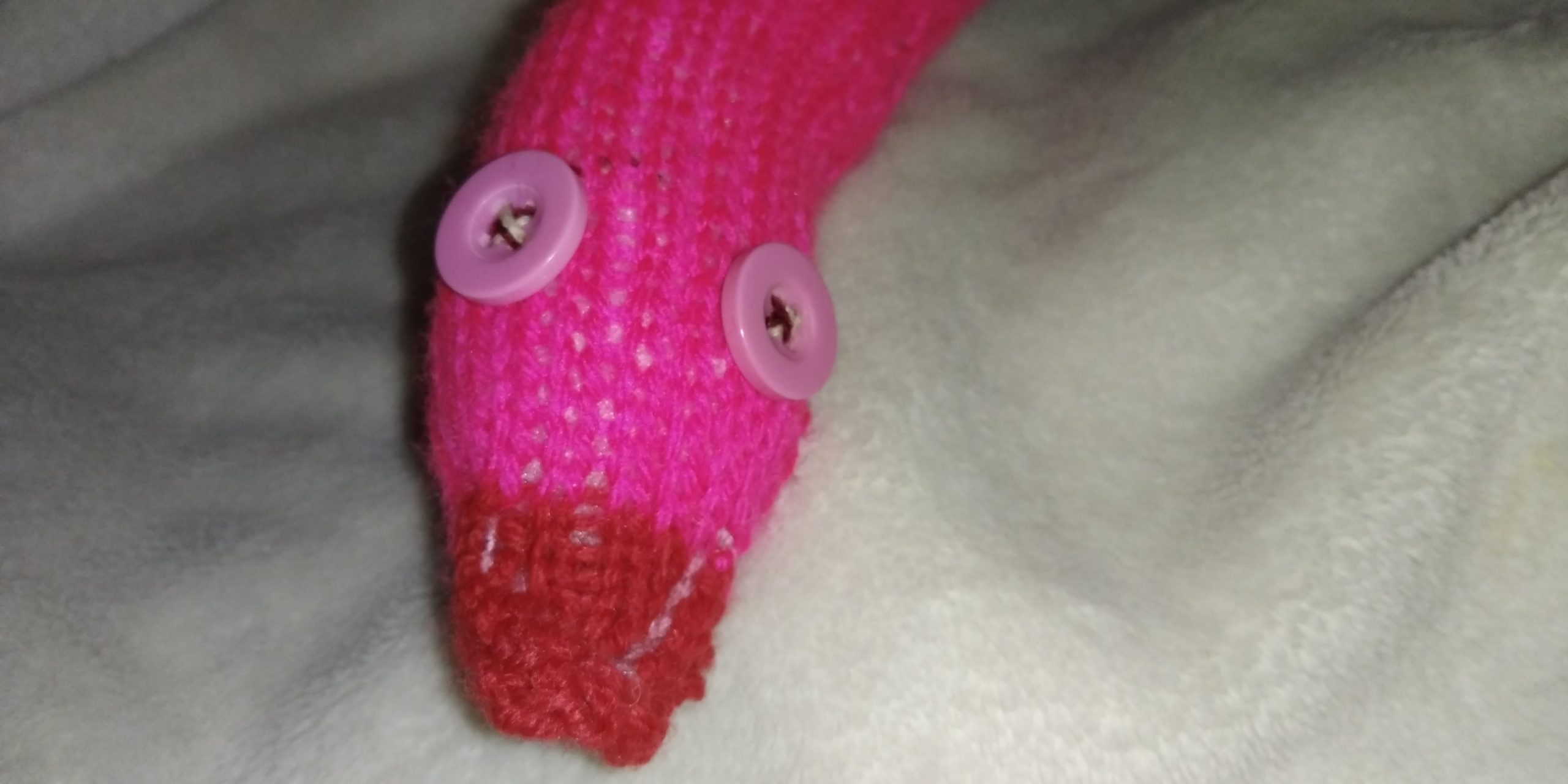 Augaulia the Red and Hot Pink Banded Slim Noodle Short Snake - Image 4