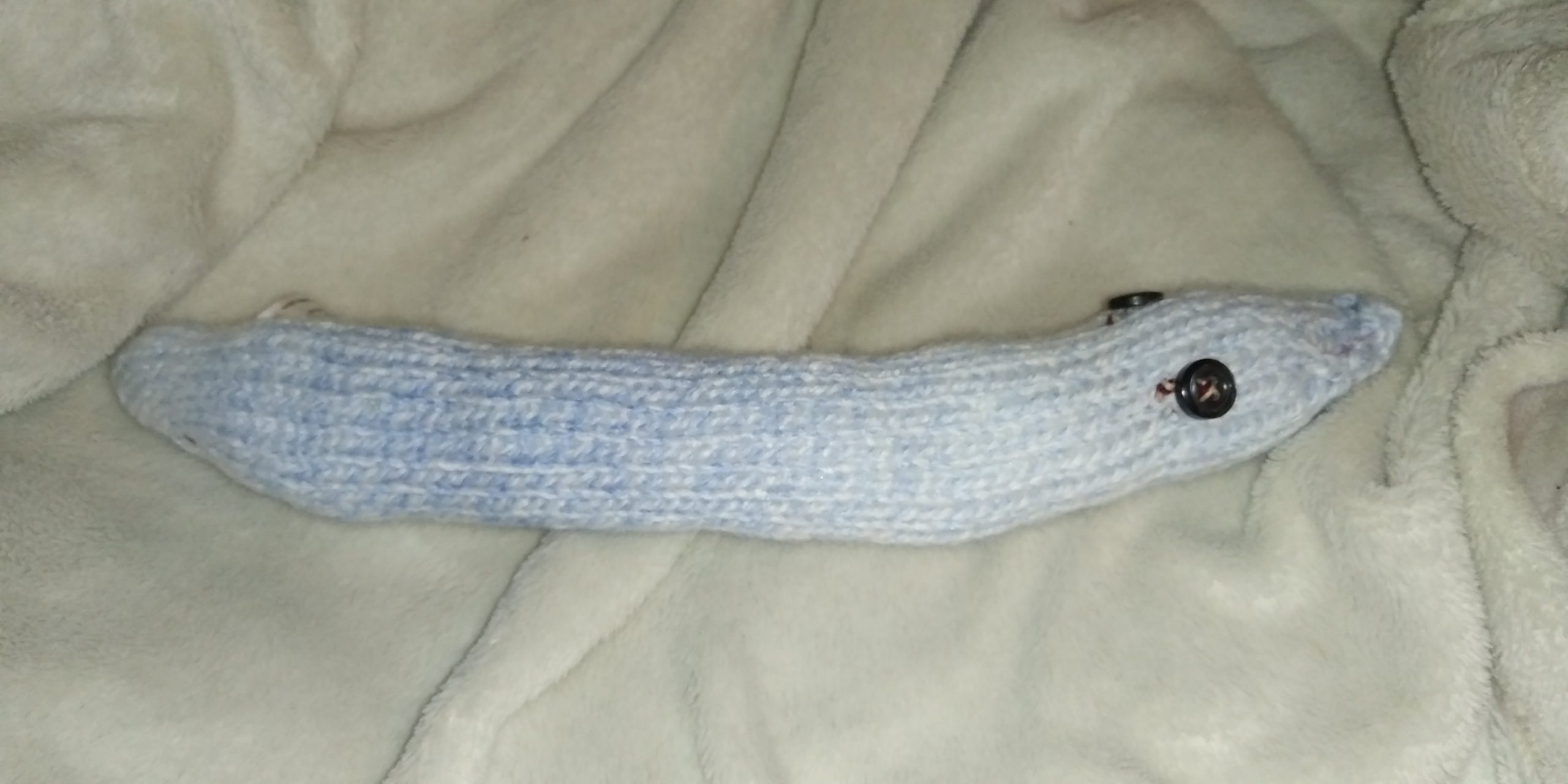 Denton the Blue and White Mottled Rainbow Slim Noodle Short Snake - Image 4
