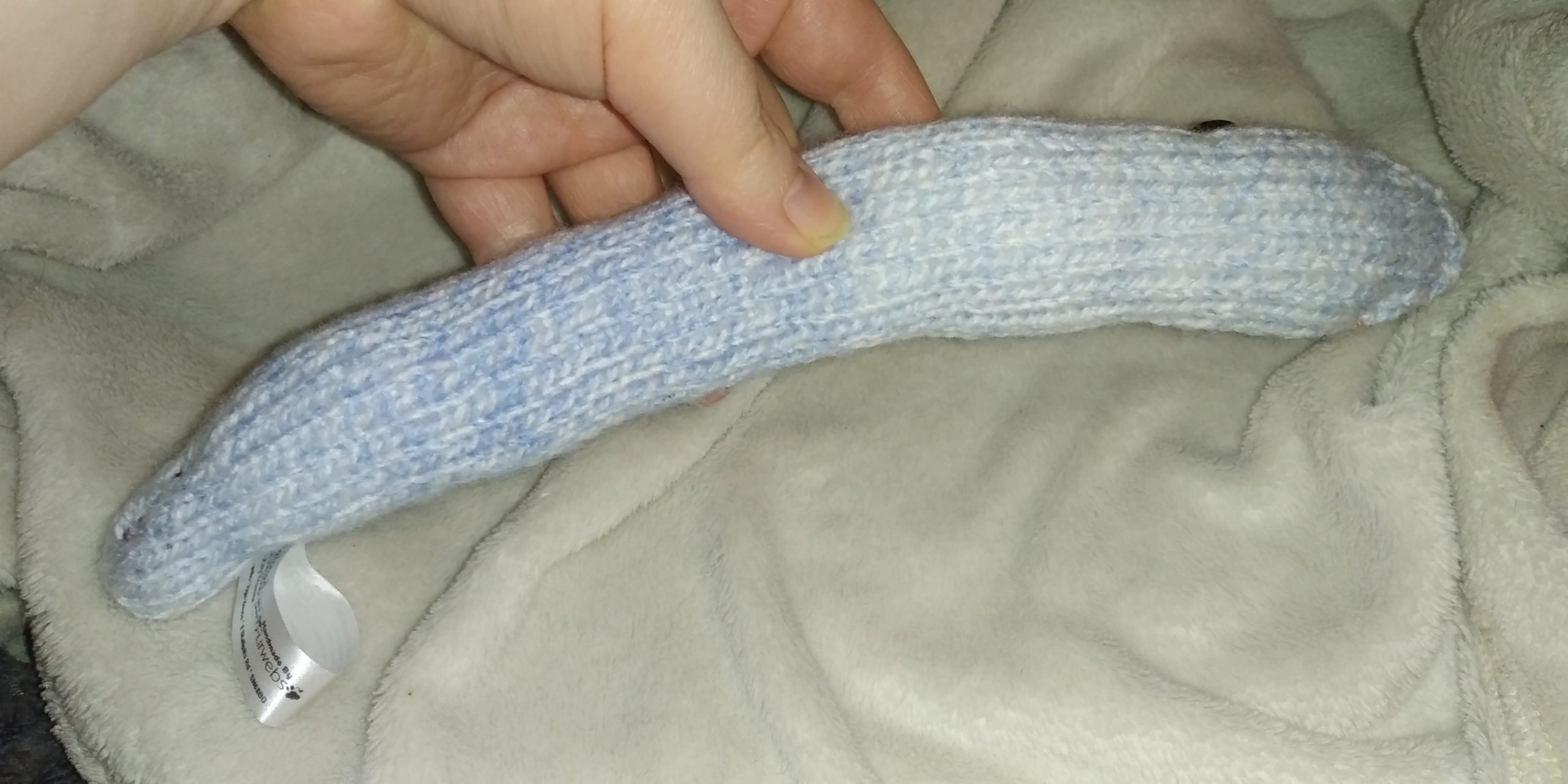 Denton the Blue and White Mottled Rainbow Slim Noodle Short Snake - Image 5