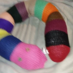 Georgia the Pink Navy and Rainbow Banded Giant Snake