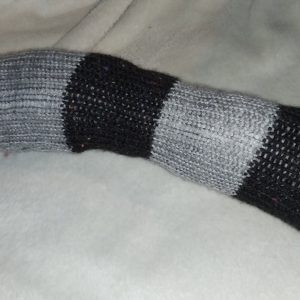 Camille the Black Grey Banded Chunky Short Snake