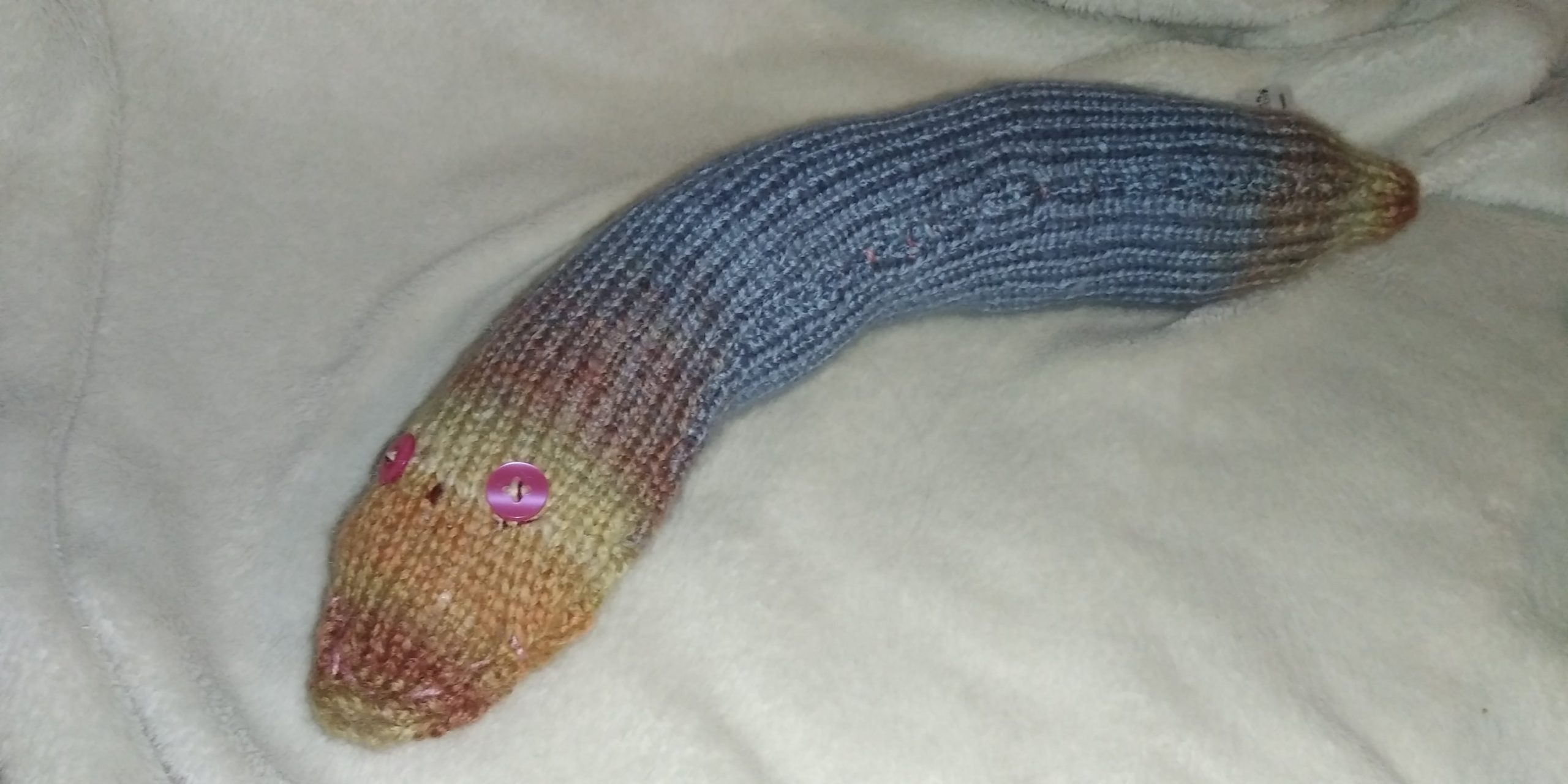Jolly the Rusty Chunky Short Snake