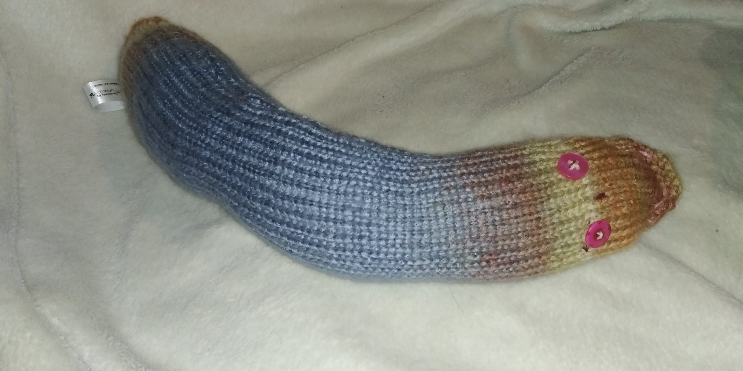 Jolly the Rusty Chunky Short Snake - Image 4