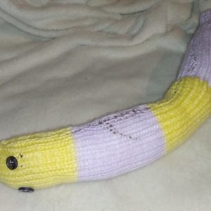 Lorna the Lemon and Glittery Lilac Banded Chunky Short Snake.