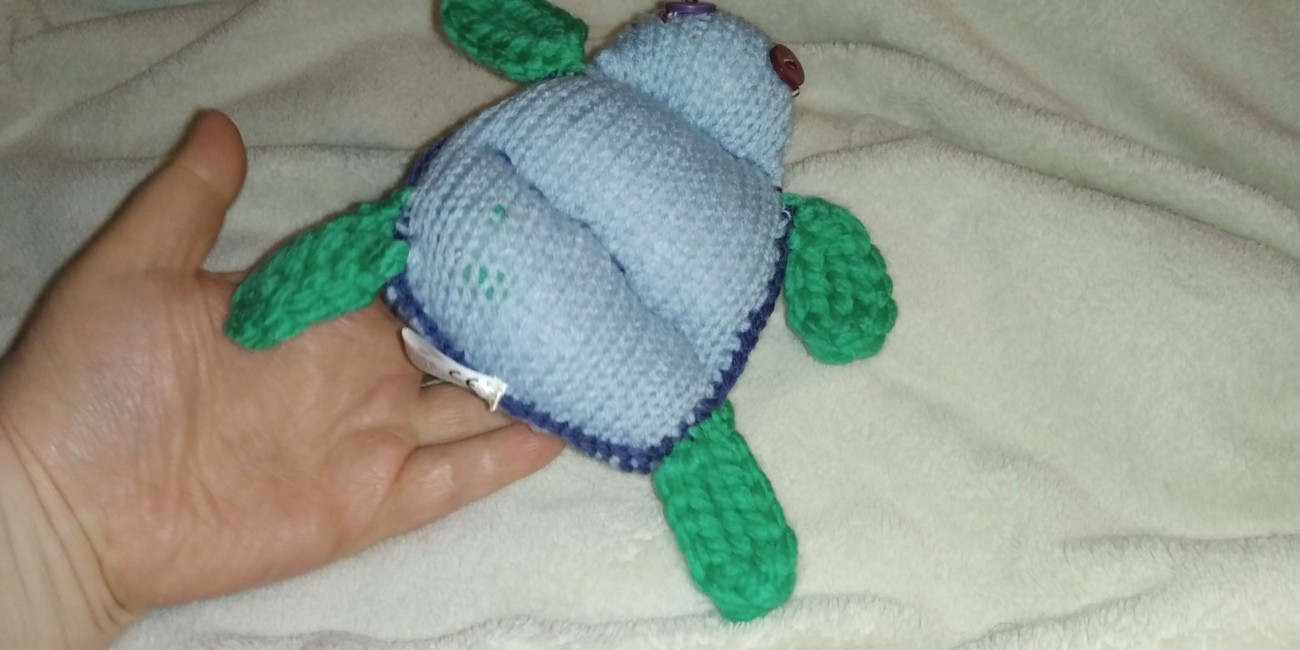 Dahna the Mid Blue with Green Flippers Flat Turtle - Image 6