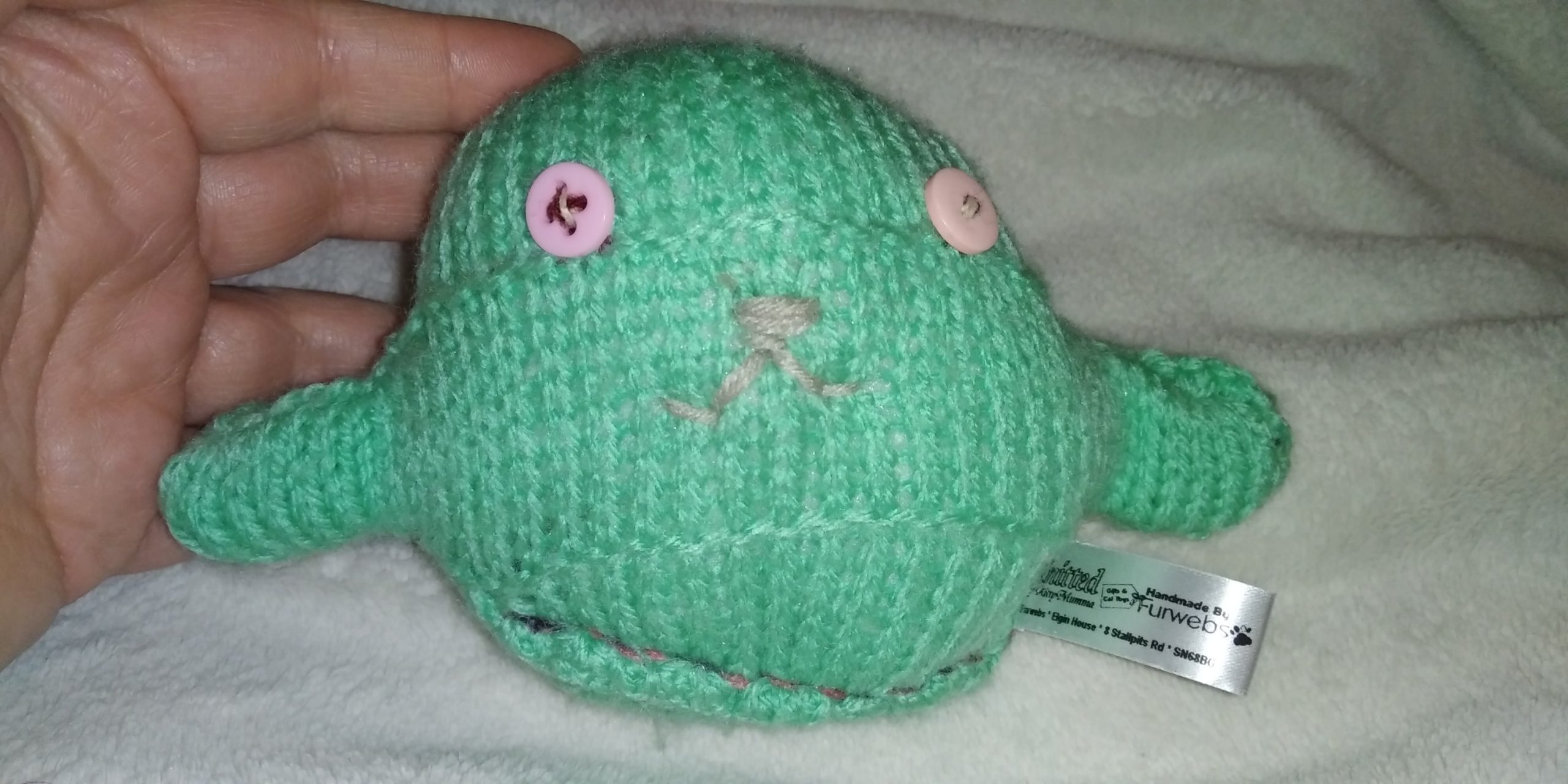 Daniel the Dark Mint Mini Ted (Ld)