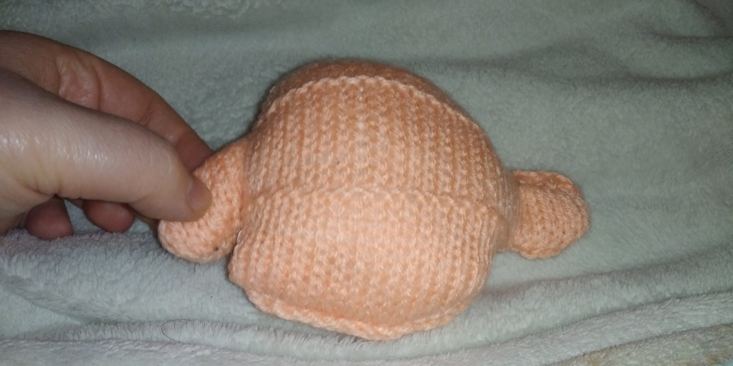 Audrey the Peach Mini Ted (Ld) - Image 6