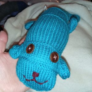 Philip the Aqua Midi Scuttlecat