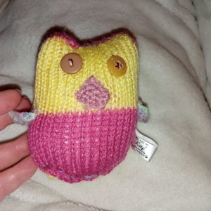 Christie the Hot Pink with Yellow and Pink Beak / Pastel Rainbow Wings Mini Owl