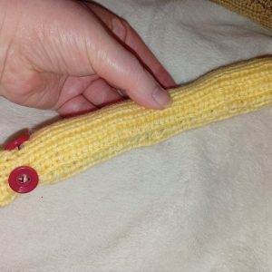 Gregory the Chunky Custard Yellow Slim Noodle Short Snake