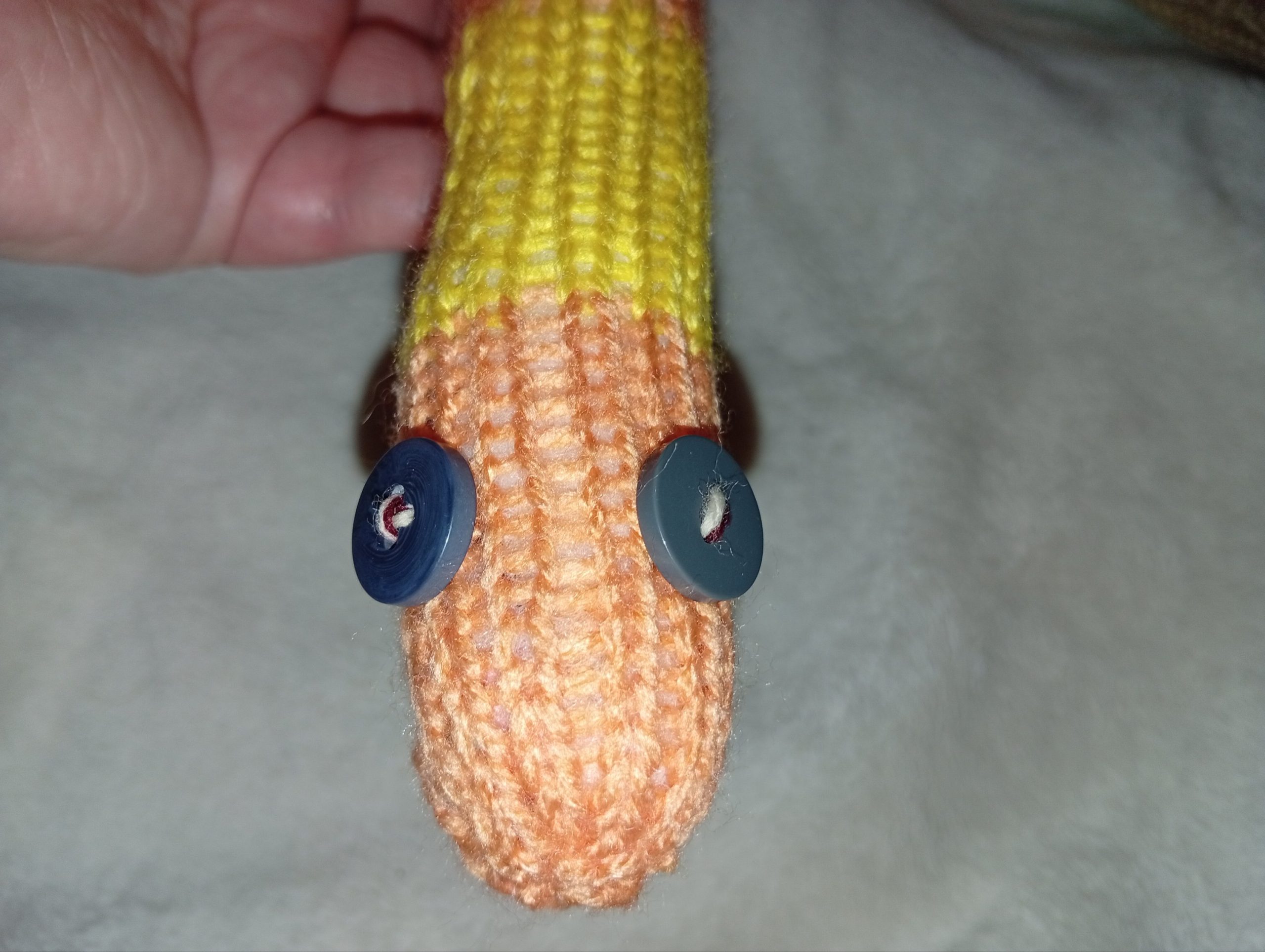 Terence the Orange and Yellow Banded Slim Noodle Short Snake - Image 3