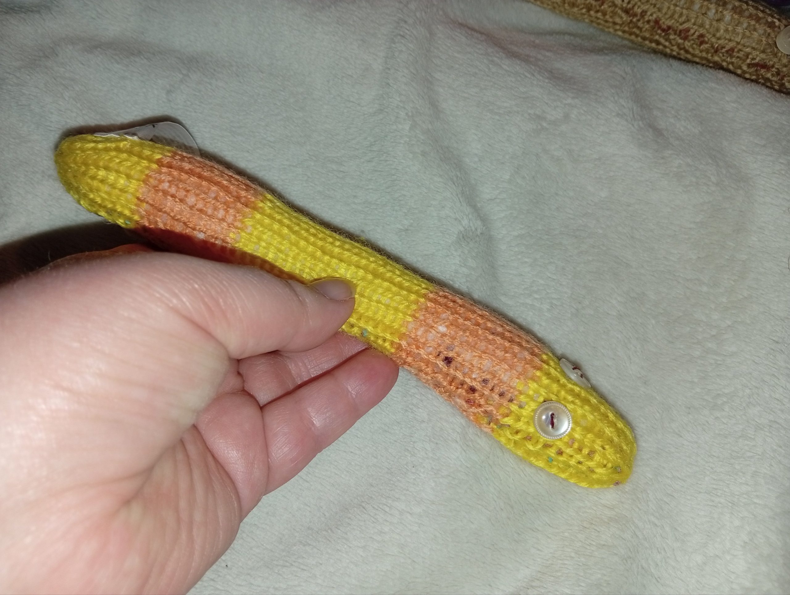 Tony the Yellow and Orange Banded Slim Noodle Short Snake - Image 2