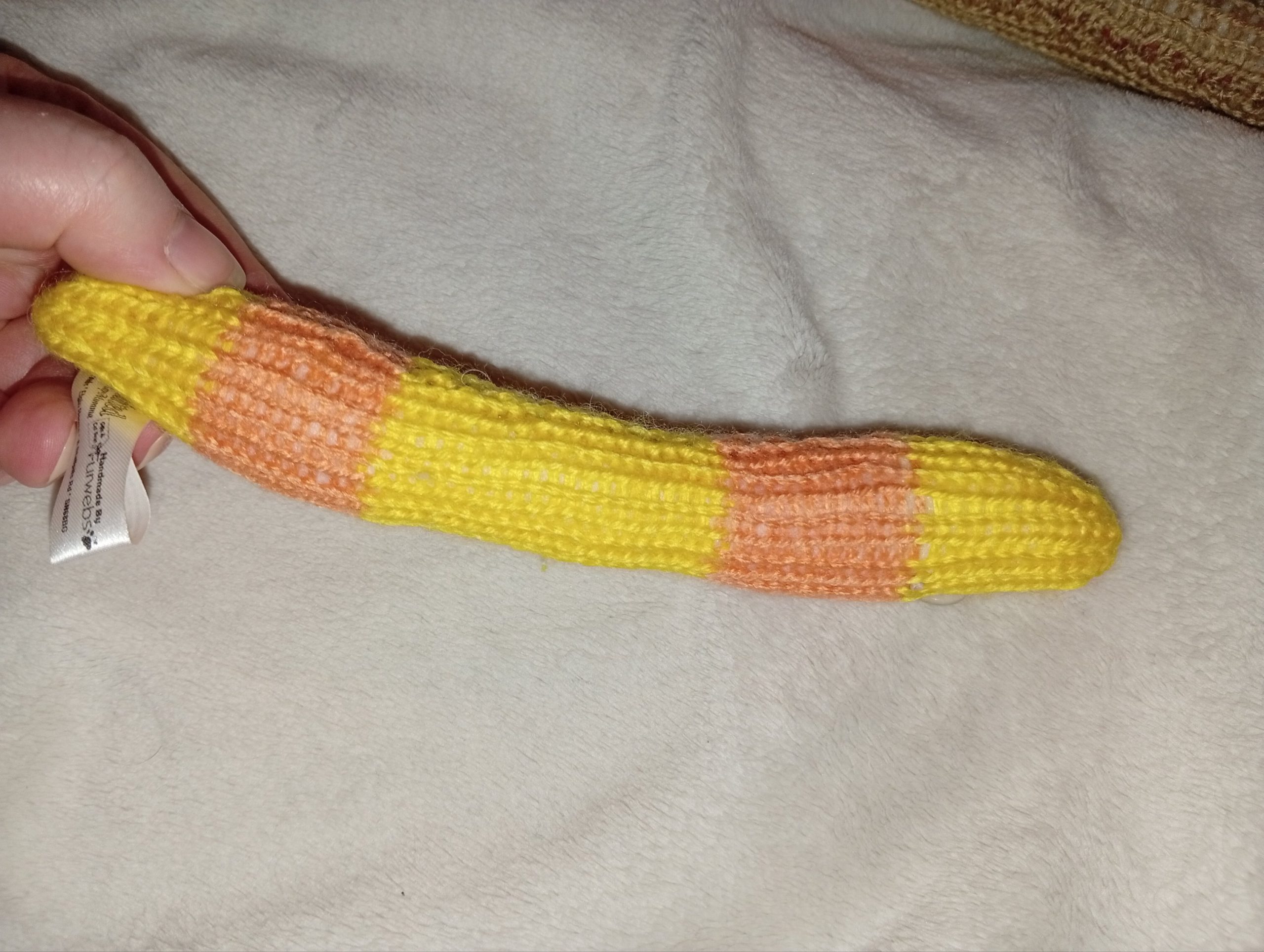 Tony the Yellow and Orange Banded Slim Noodle Short Snake - Image 4