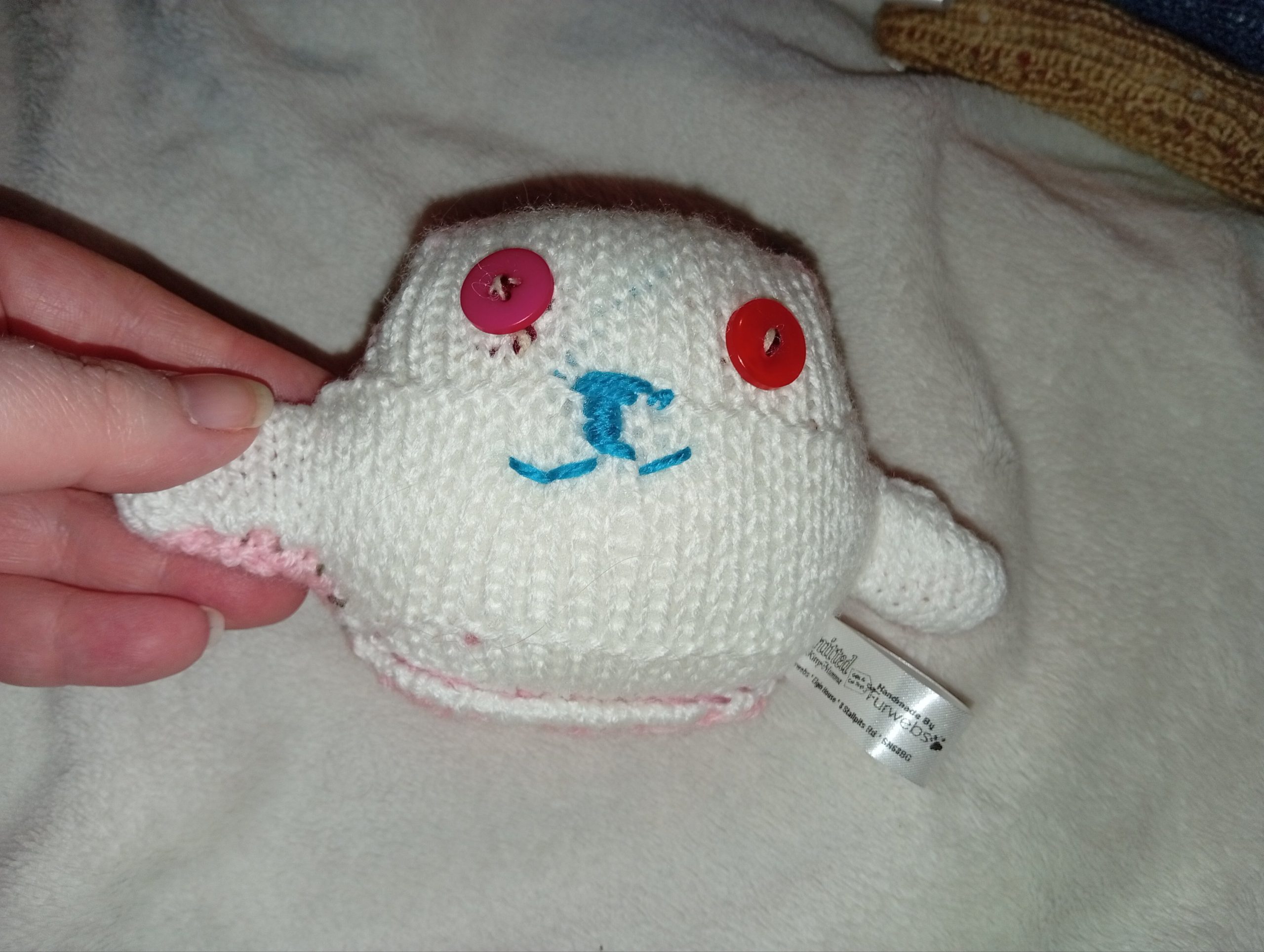 Zenya the White front and Pink back Mini Ted