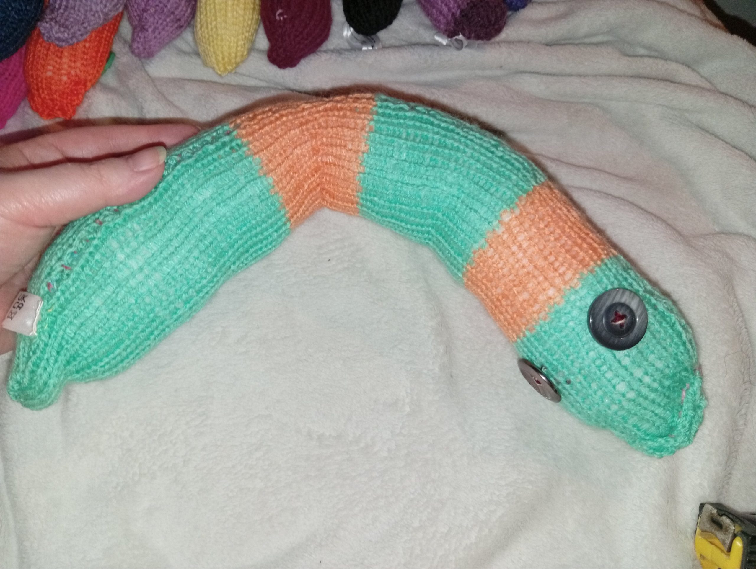 Zenver the Dark Mint and Orange Banded Chunky Short Snake