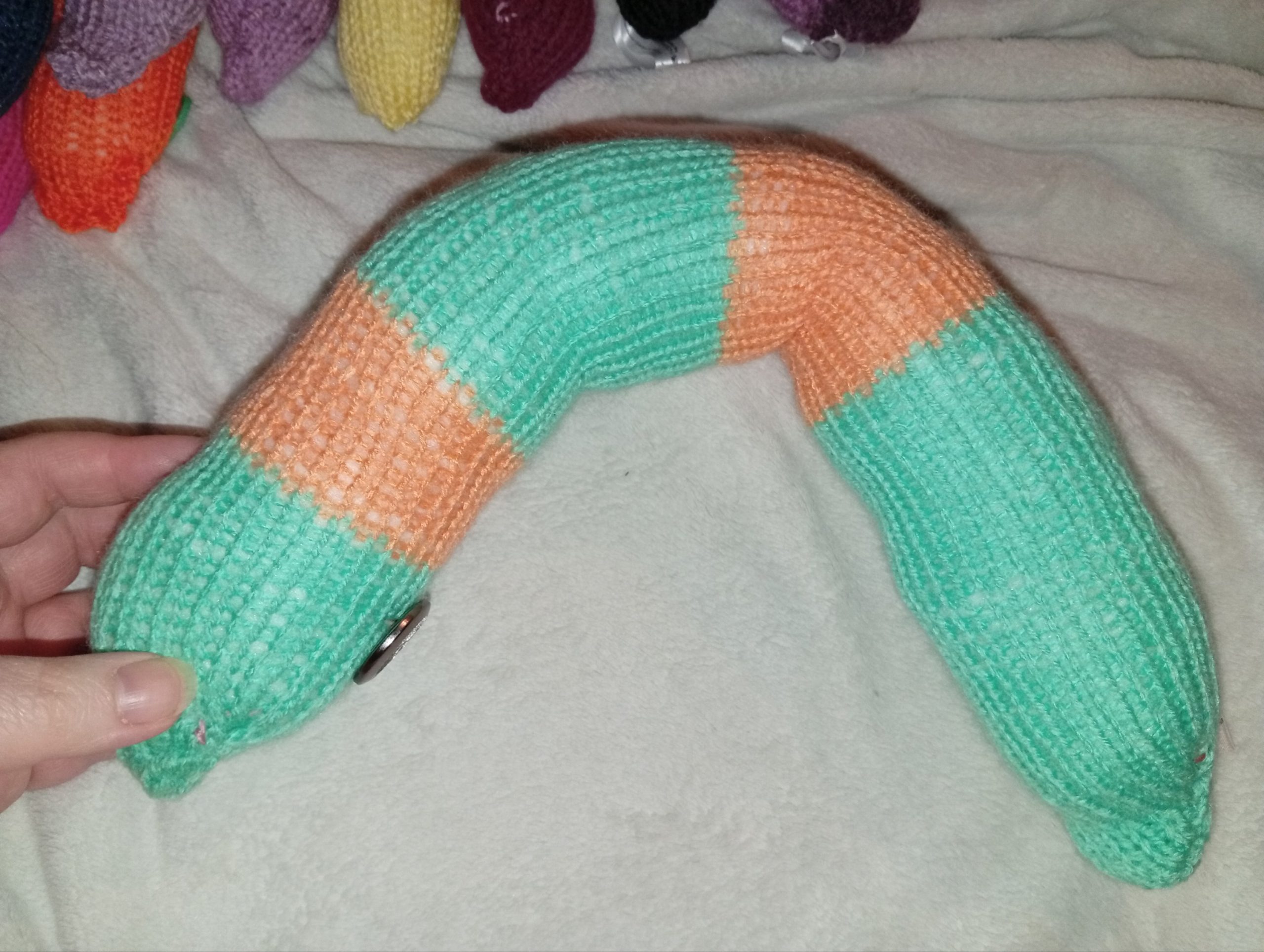 Zenver the Dark Mint and Orange Banded Chunky Short Snake - Image 3