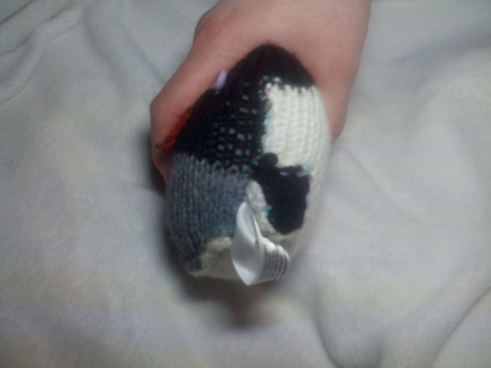 Jimmy the Baby Backwards Grey Black White Penguin - Burnt Brown Beak - Image 2